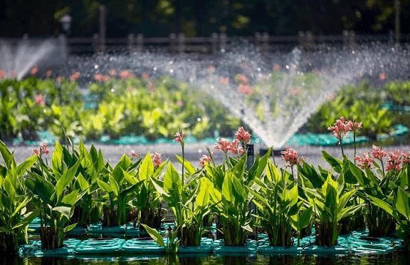 技术解谜|这道全国理综污水净化题，你对做了吗？