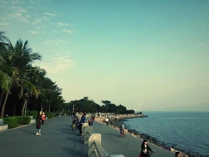 你为什么留在深圳奋斗,留在深圳发展还是回老家发展呢