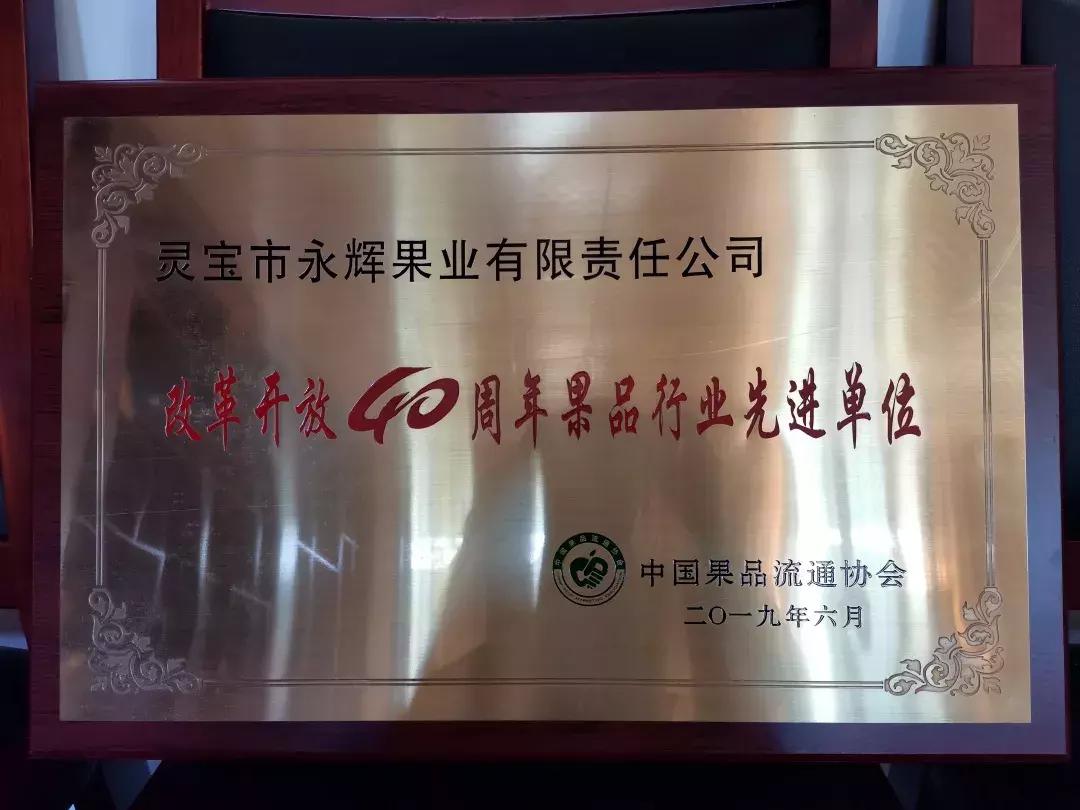 30元一颗的“灵宝金苹果”,如何在跌宕起伏的水果行业稳固生存?