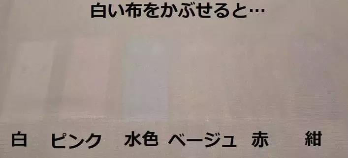 日本博主测评内衣,日本博主内衣测评