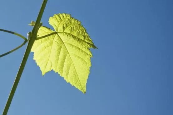 沐之诗词,沐之之原创作品