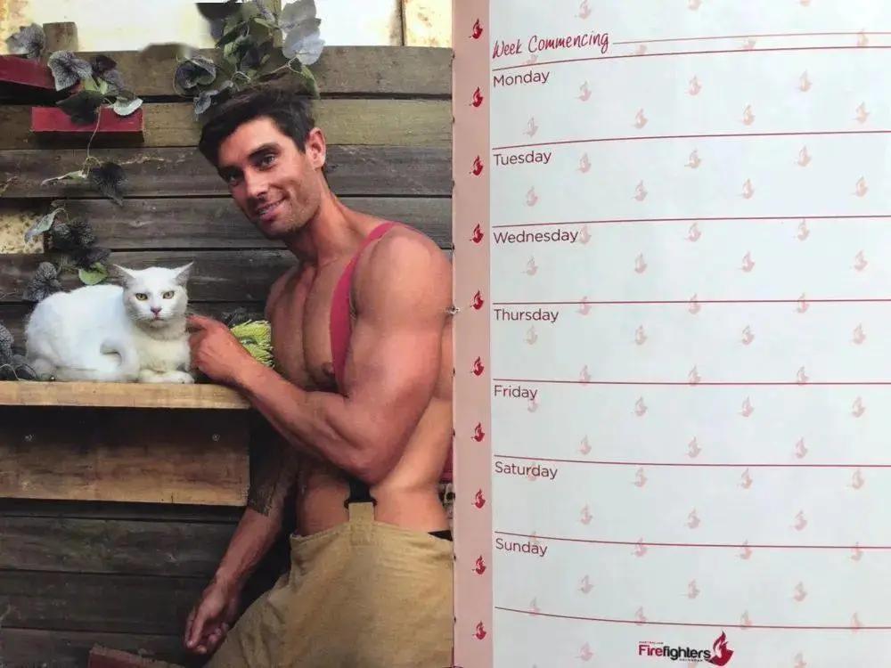 谁说*男猛**和萌猫必须二选一？这次我全都要