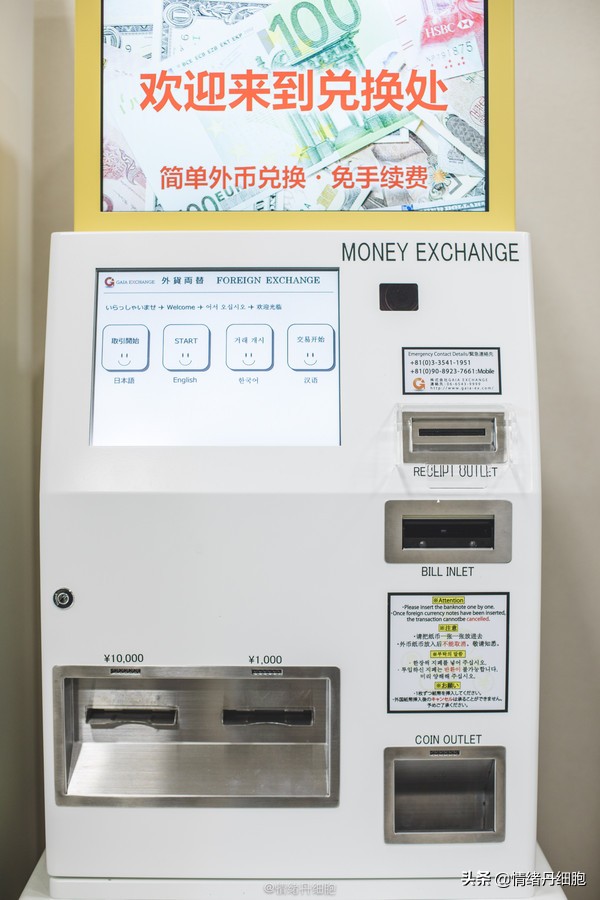 邮轮游选择哪个游轮好,邮轮旅游全攻略公主号