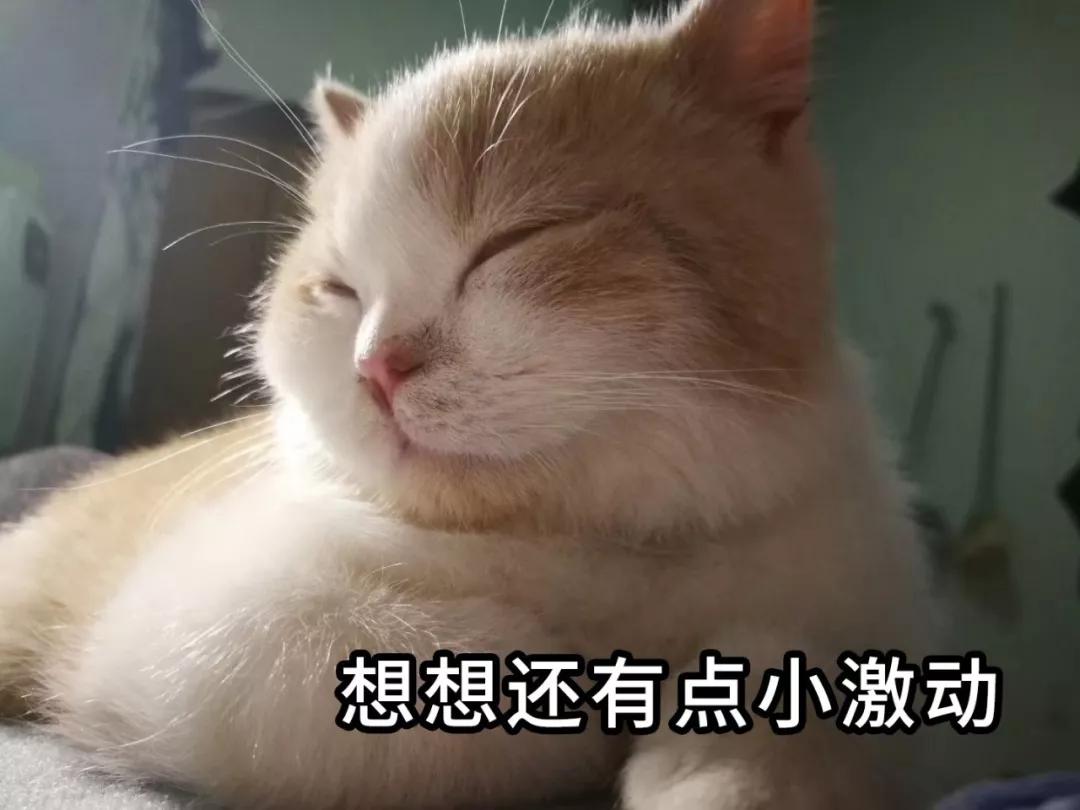 同样是线上恒大卖房子可以红星卖家具为什么就不行？