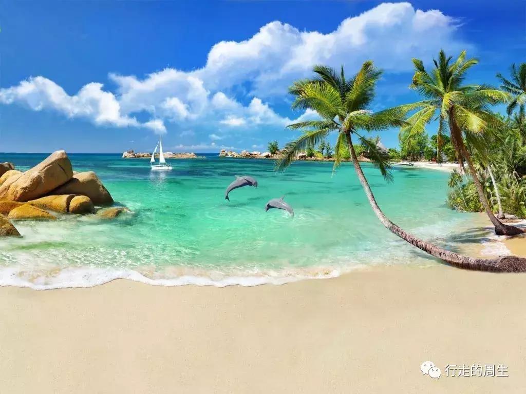 马尔代夫选岛攻略,马尔代夫选岛终极攻略