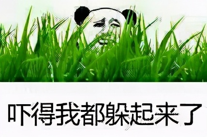 面对混混的最佳方法,面对流氓我们该怎么办
