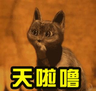 有人感染了“超级细菌”，药费5000元/天！甚至无药可用