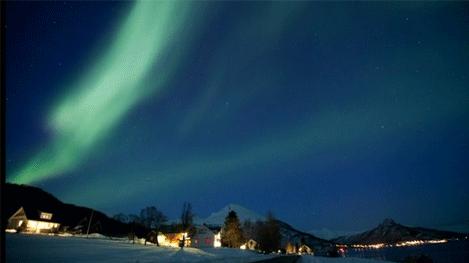 上海到美国旅游攻略自由行,11月底美国旅游攻略图