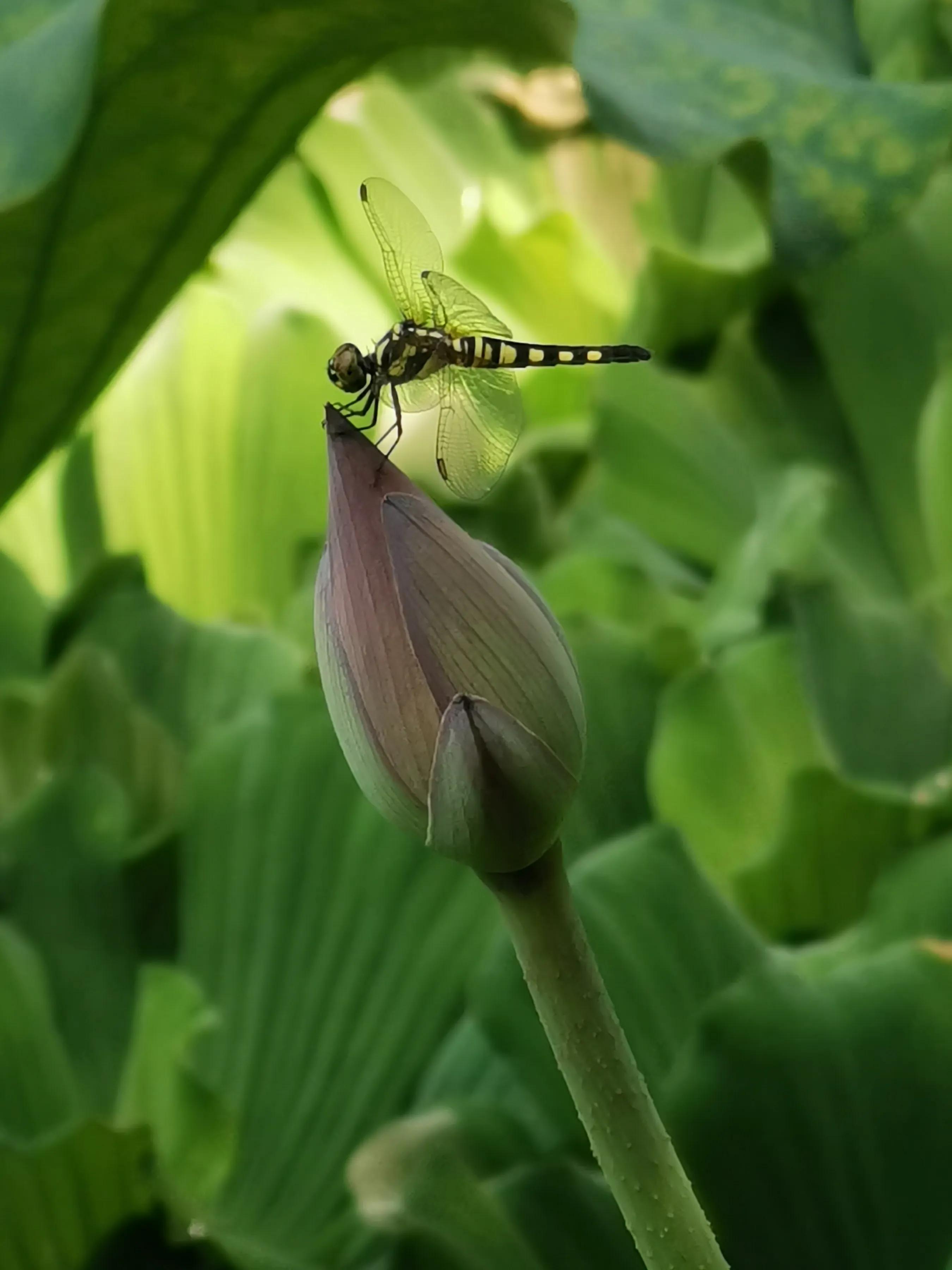 手拍世界手机摄影平台,手机摄影作品集大全集
