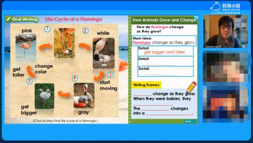 鲸鱼小班好用吗,鲸鱼小班一年课后的感受