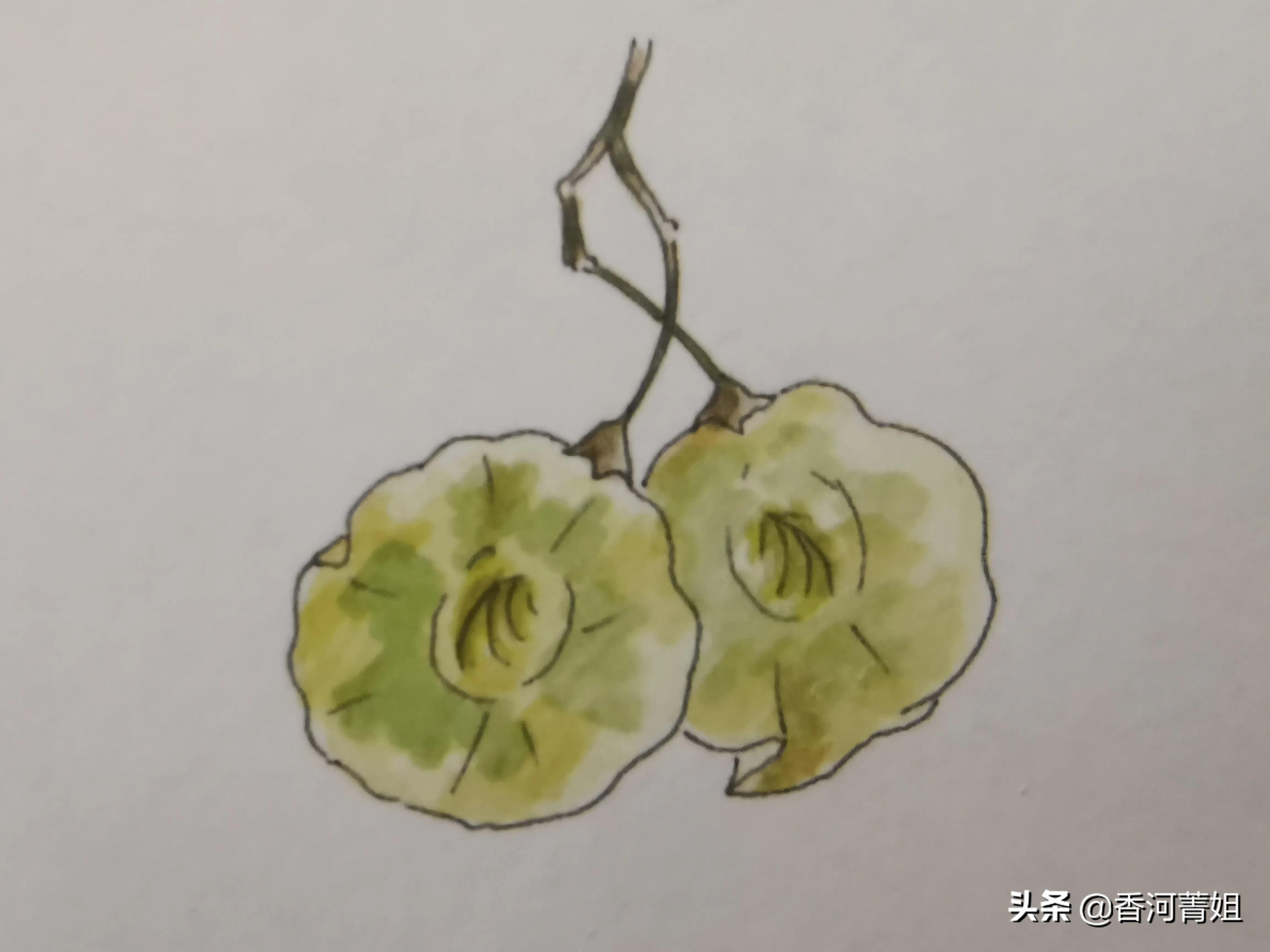 非洲紫檀木,非洲紫檀木雕