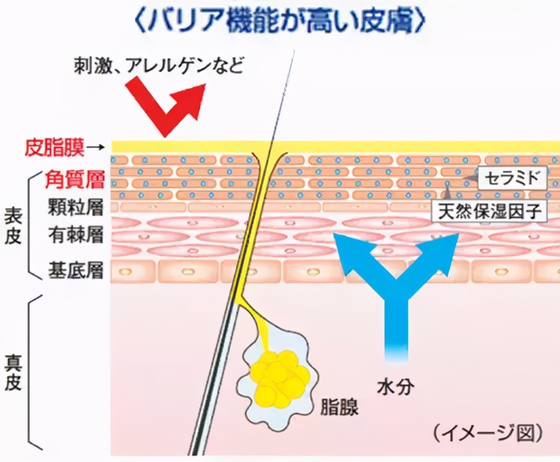 只选对的不选贵的表,怎样选择护肤品才是最正确的呢