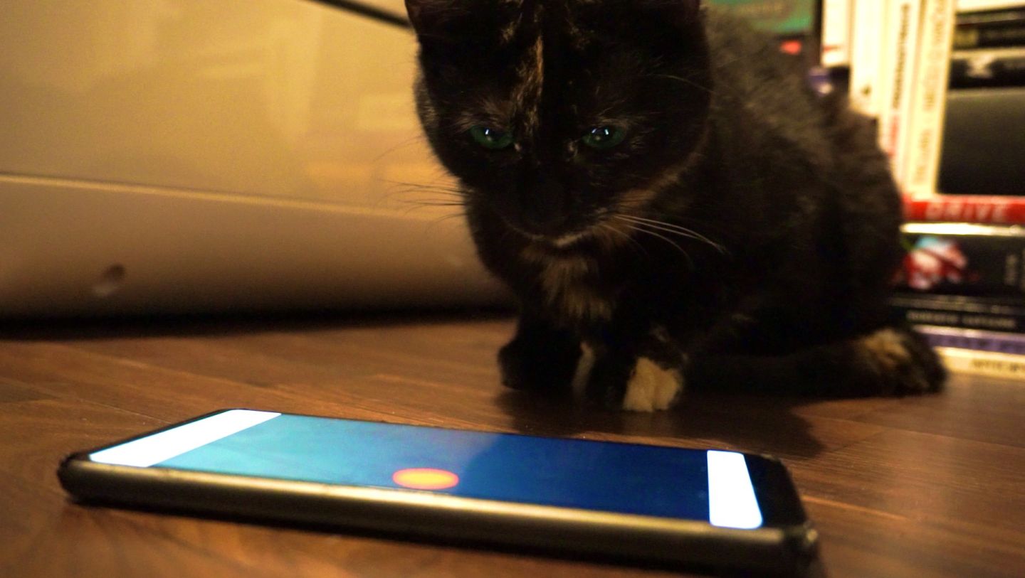 webassembly入门,webassembly使用教程