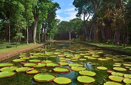 这15座花园勾勒最美的人间