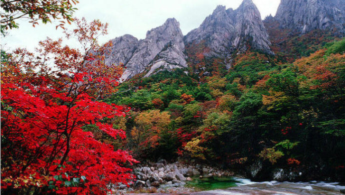 神秘国家朝鲜你知道多少?为什么又被称为晨曦之国呢?