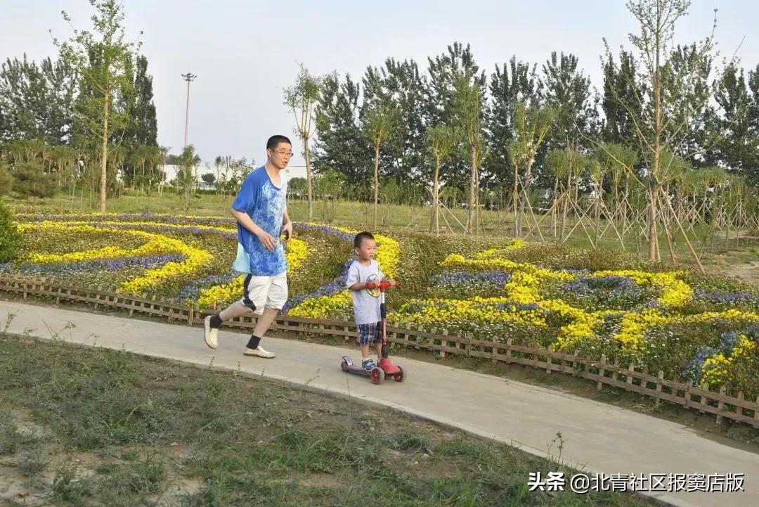 千亩向日葵游玩,百亩向日葵花海免费赏