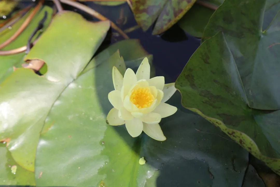 汉川5天周边游攻略,汉川徒步旅游攻略一日游