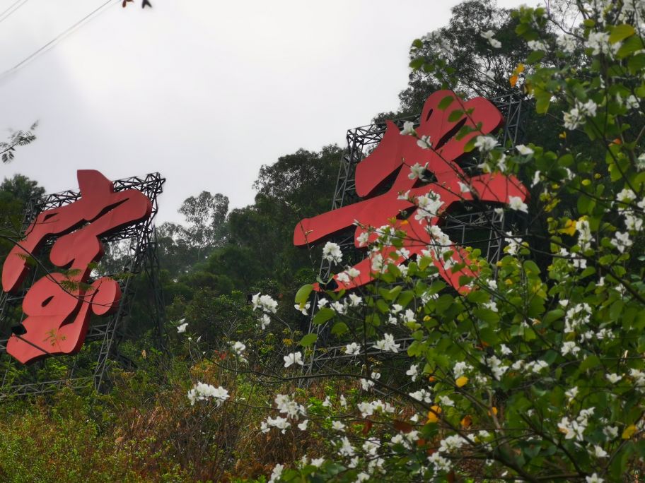 深圳宝安海滨公园游园图,深圳市娱乐场所