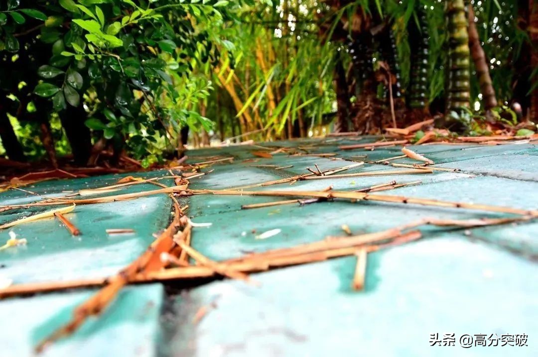 开学复课进行时,开学季告别暑假回归校园