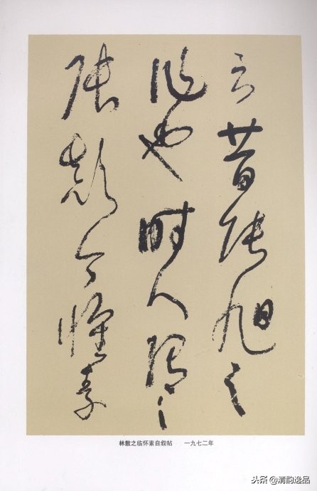 林散之书法没有一笔是古人的,林散之书法视频