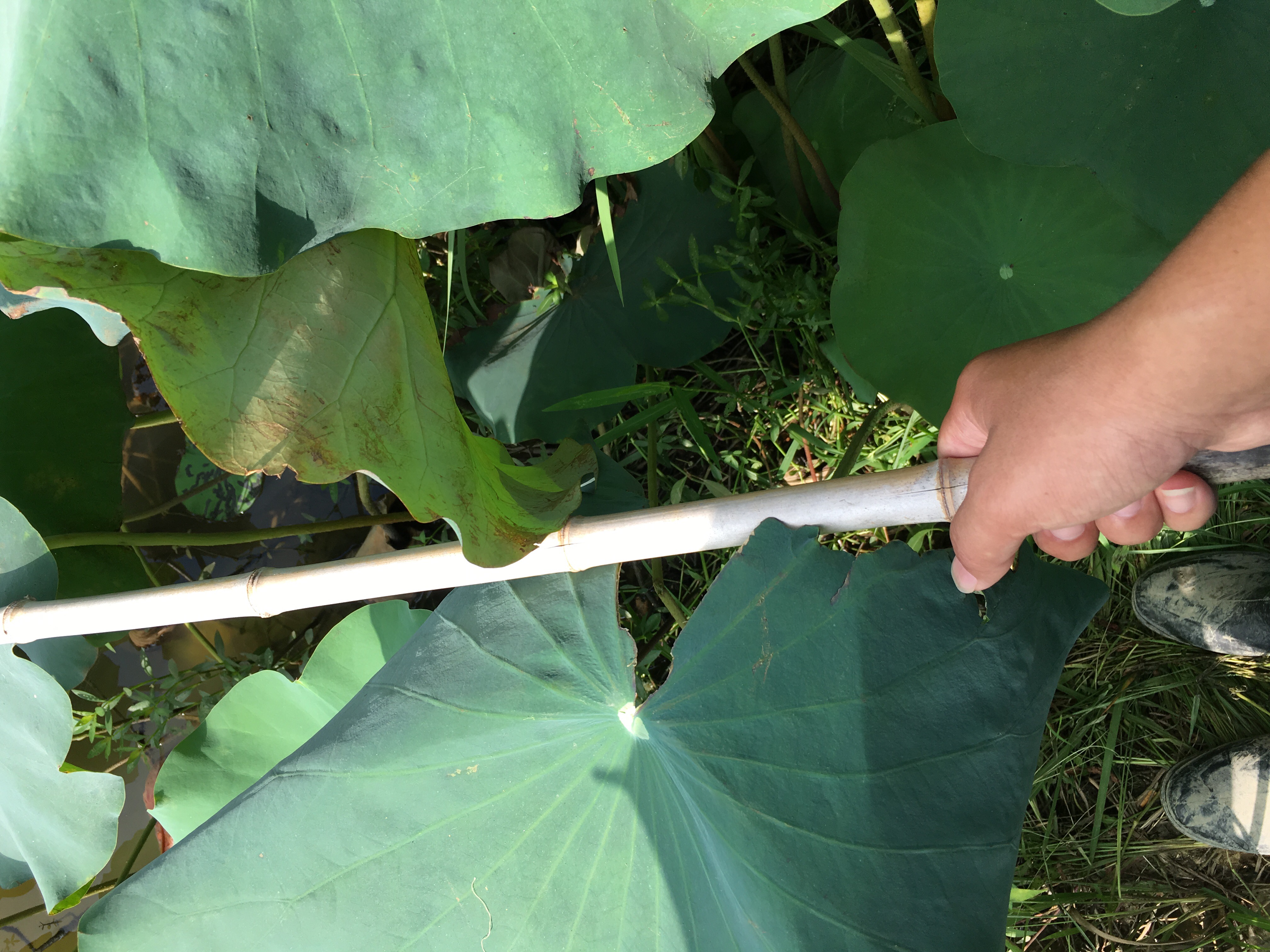 钓鱼人,你现在过的怎样?假如再给你一次机会,你还会选择入坑吗