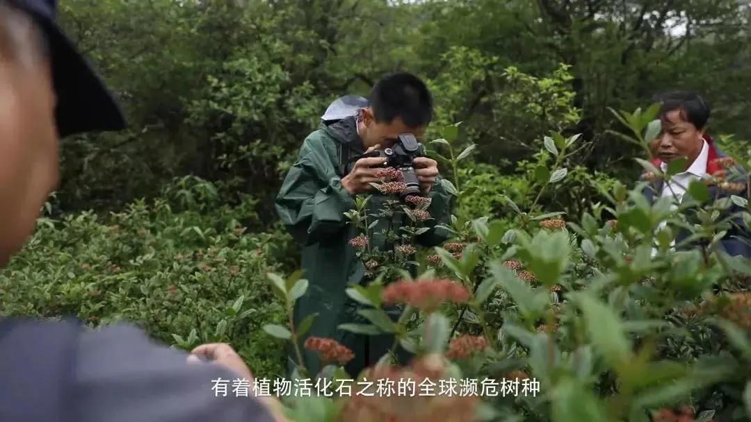 怎么宣传湖南南山国家公园,湖南南山国家公园有哪些景点