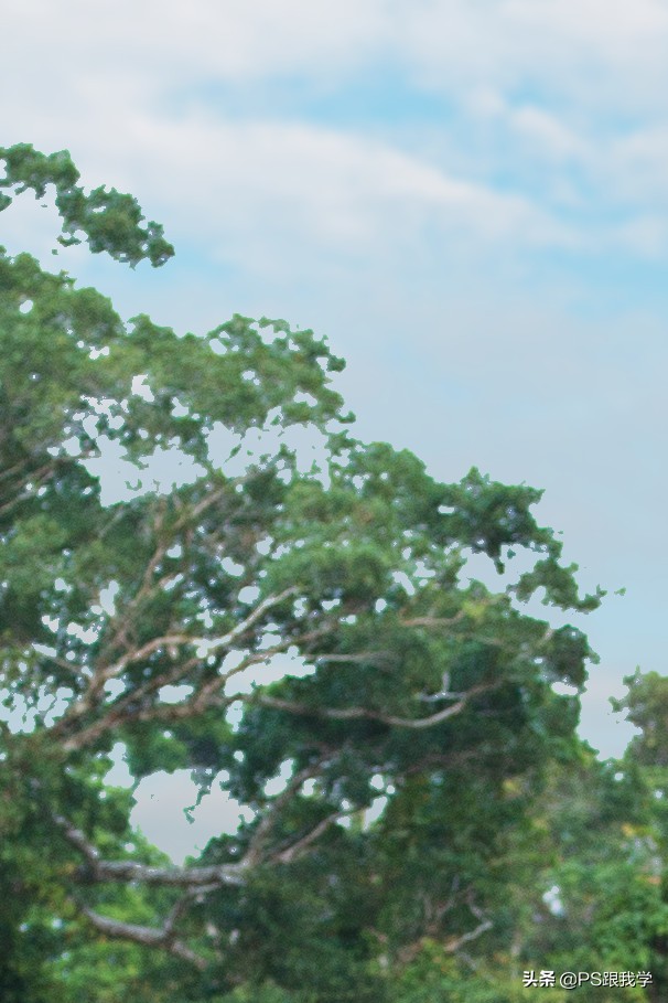 photoshop图层抠图,ps图层混合通道抠图技巧