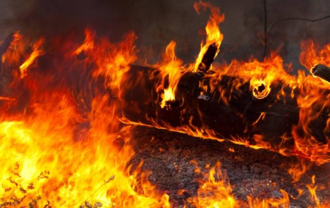 日本二玄社出版的智永真草千字文,带有田字格的智永真草千字文字帖