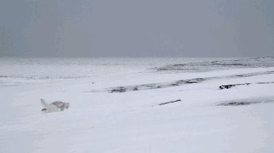 长春家长都领着孩子在干这件事儿,你没做,就落后了!