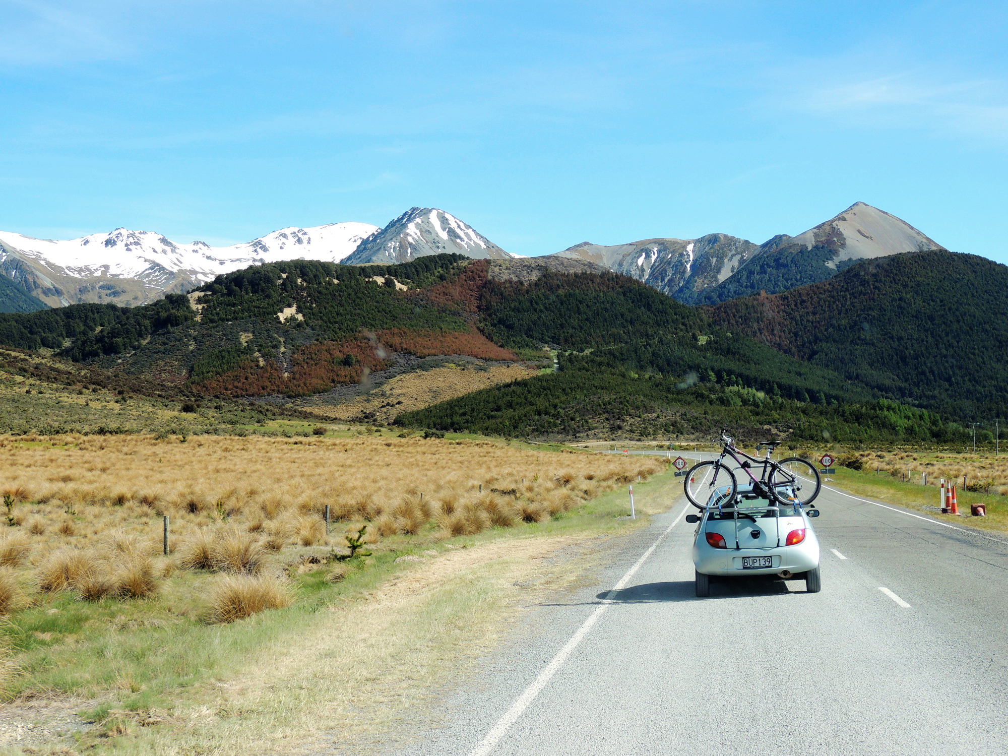 新西兰基督城,没有一个听众,他依旧讲得慷慨激昂