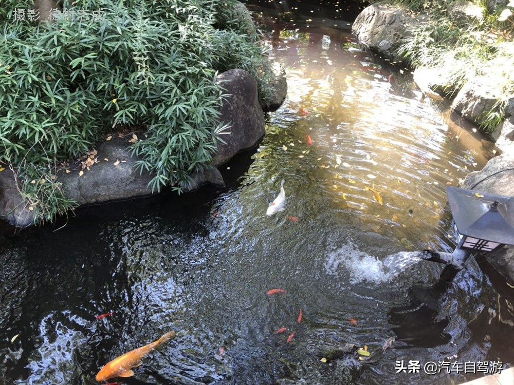 日本传统文化习俗,遵循传统文化习俗