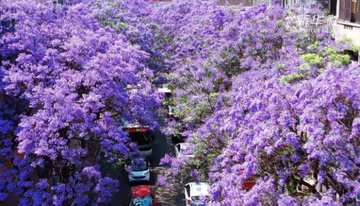 云南各地方是如何看待昆明的,云南各地怎么评价昆明人