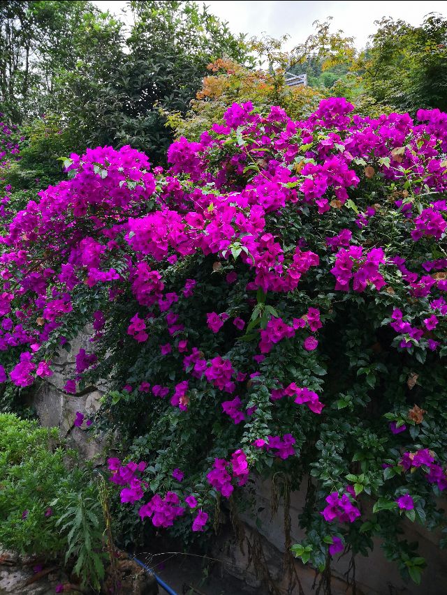 蜈蚣梁村还有这么一位特殊特别的“厅级干部”