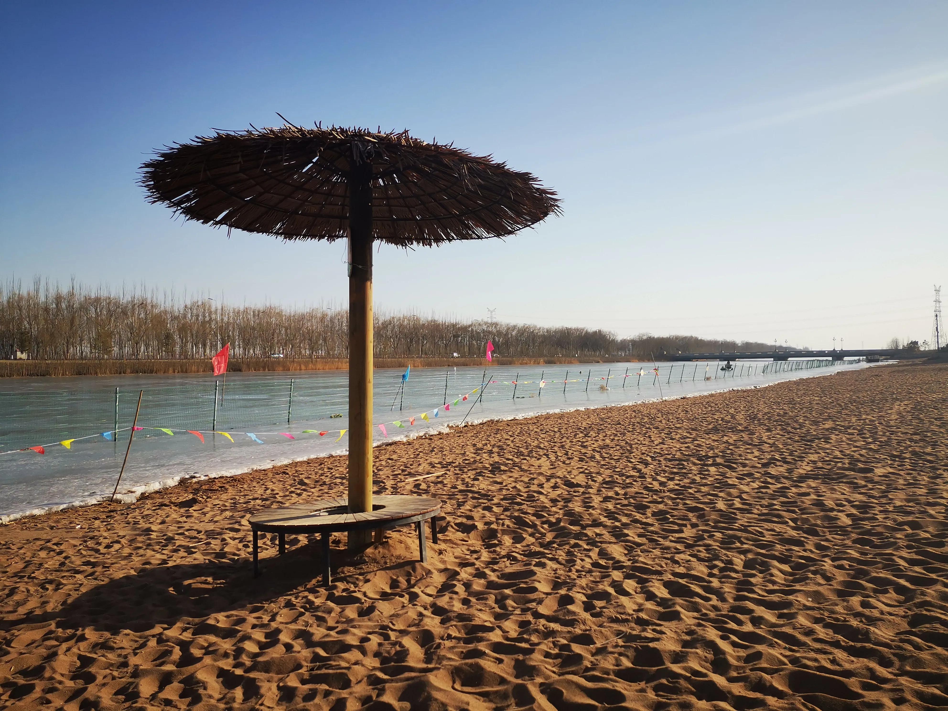 读语文课堂教学研究类书籍读后感,语文学科教研感想