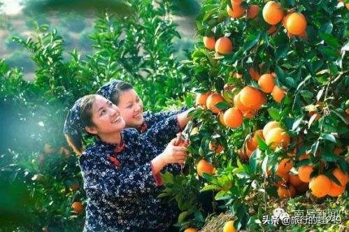 赣州江西最大城市,江西好吃的在哪个城市