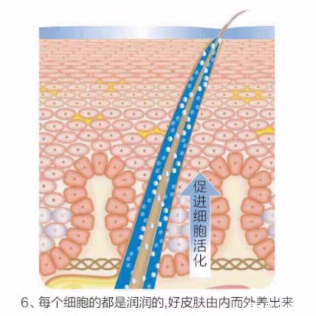 张庭活酵母面膜靠谱吗,张庭用了24年的活酵母