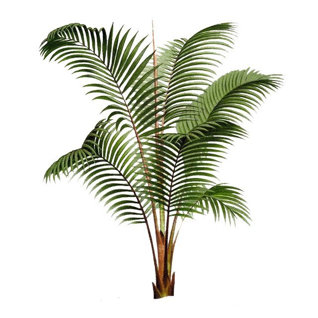 林彦俊黑白照片阴影,林彦俊早期自拍