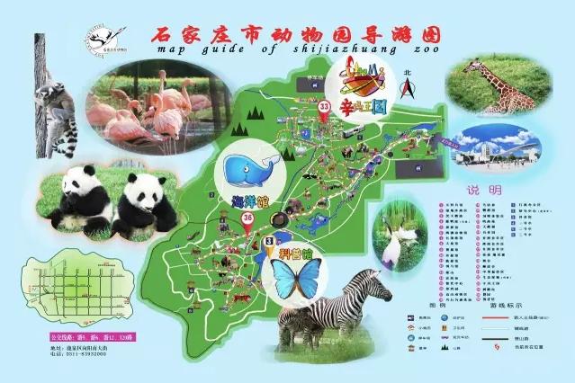 辛玛王国游乐场项目可以重复玩吗,辛玛王国游乐设施