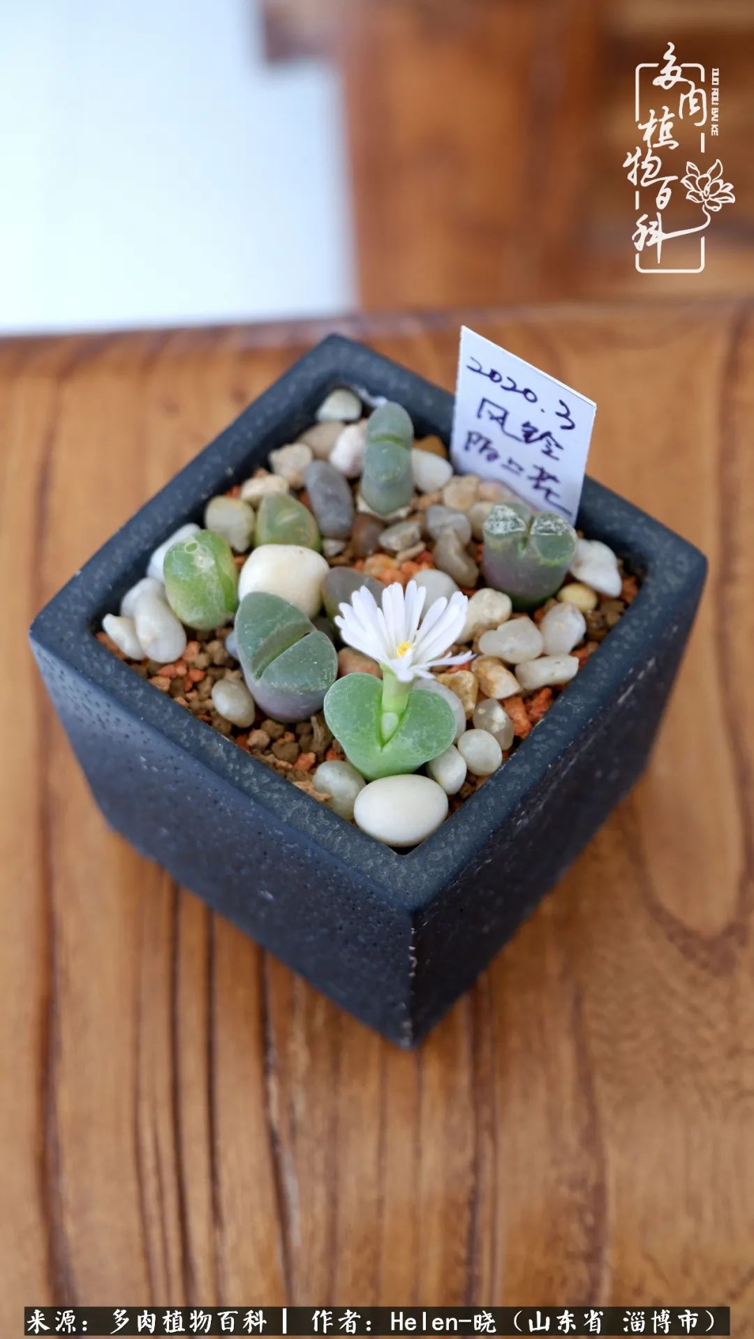 人到中年温暖如初,人到中年岁月静好