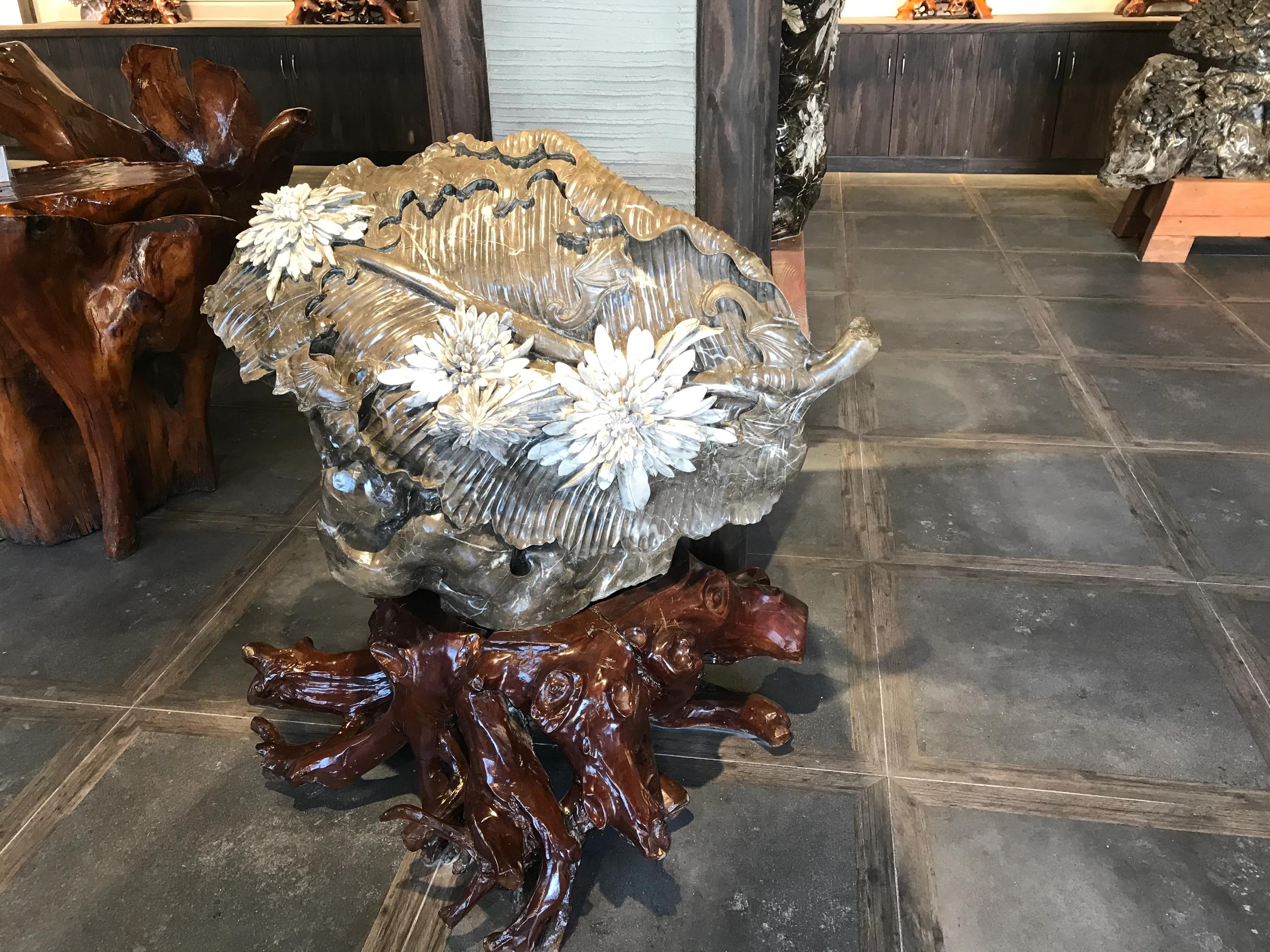 洋沙湖湿地公园游记,洋沙湖游记作文