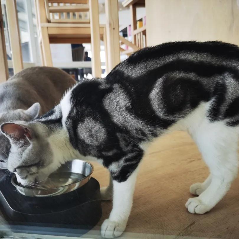 天津天塔里面都有什么,天津的宝藏地点