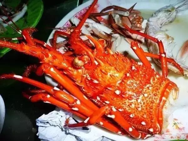 越南芽庄最便宜的旅游攻略,越南芽庄旅游攻略必买清单