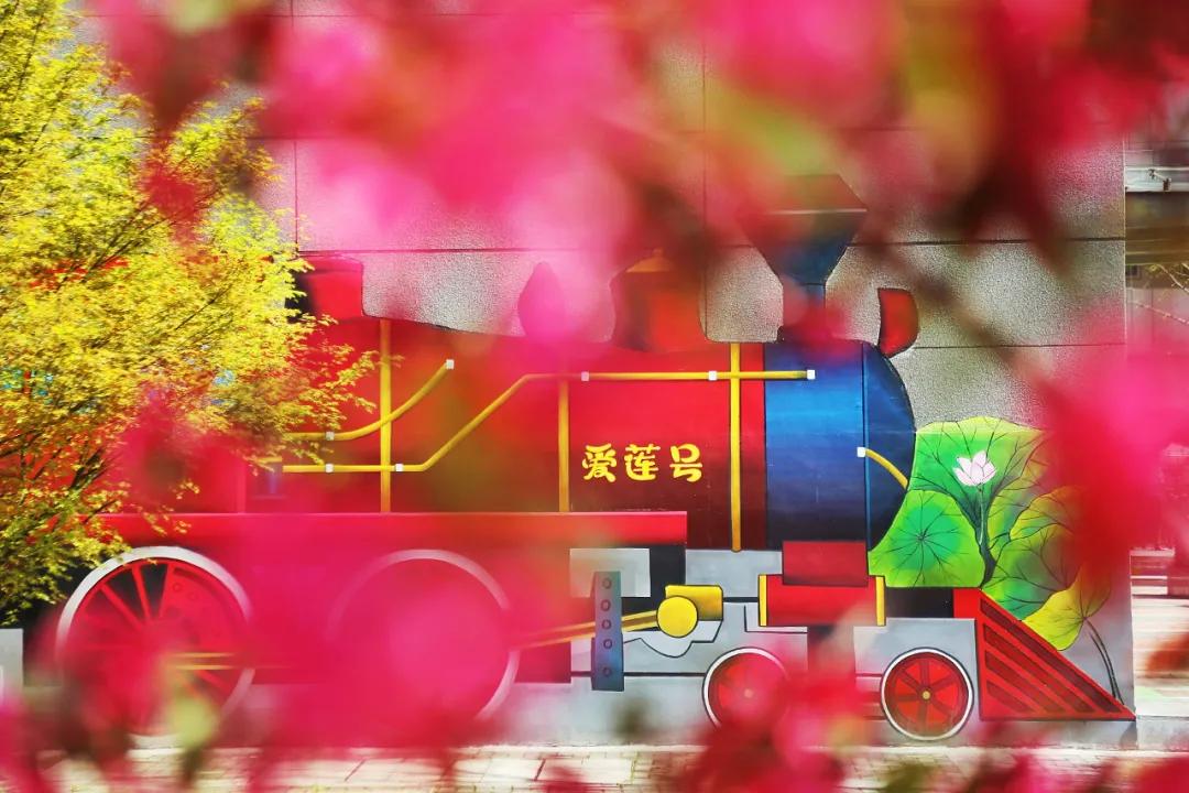 南京这所小学“弯道超车”,做了什么?