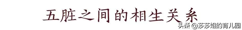 五脏养生的四季规律,五脏与体质养生
