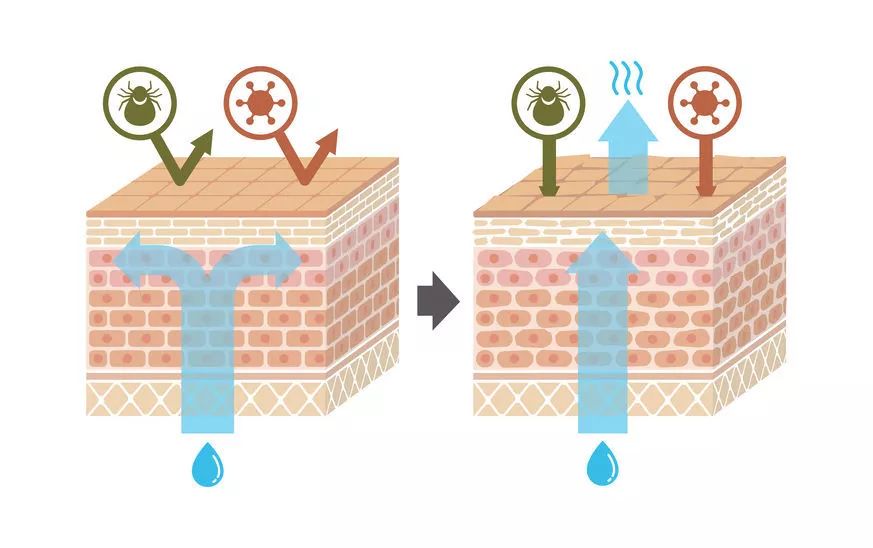 身体6个部位太干净容易生病,身体这三个部位不要太爱干净