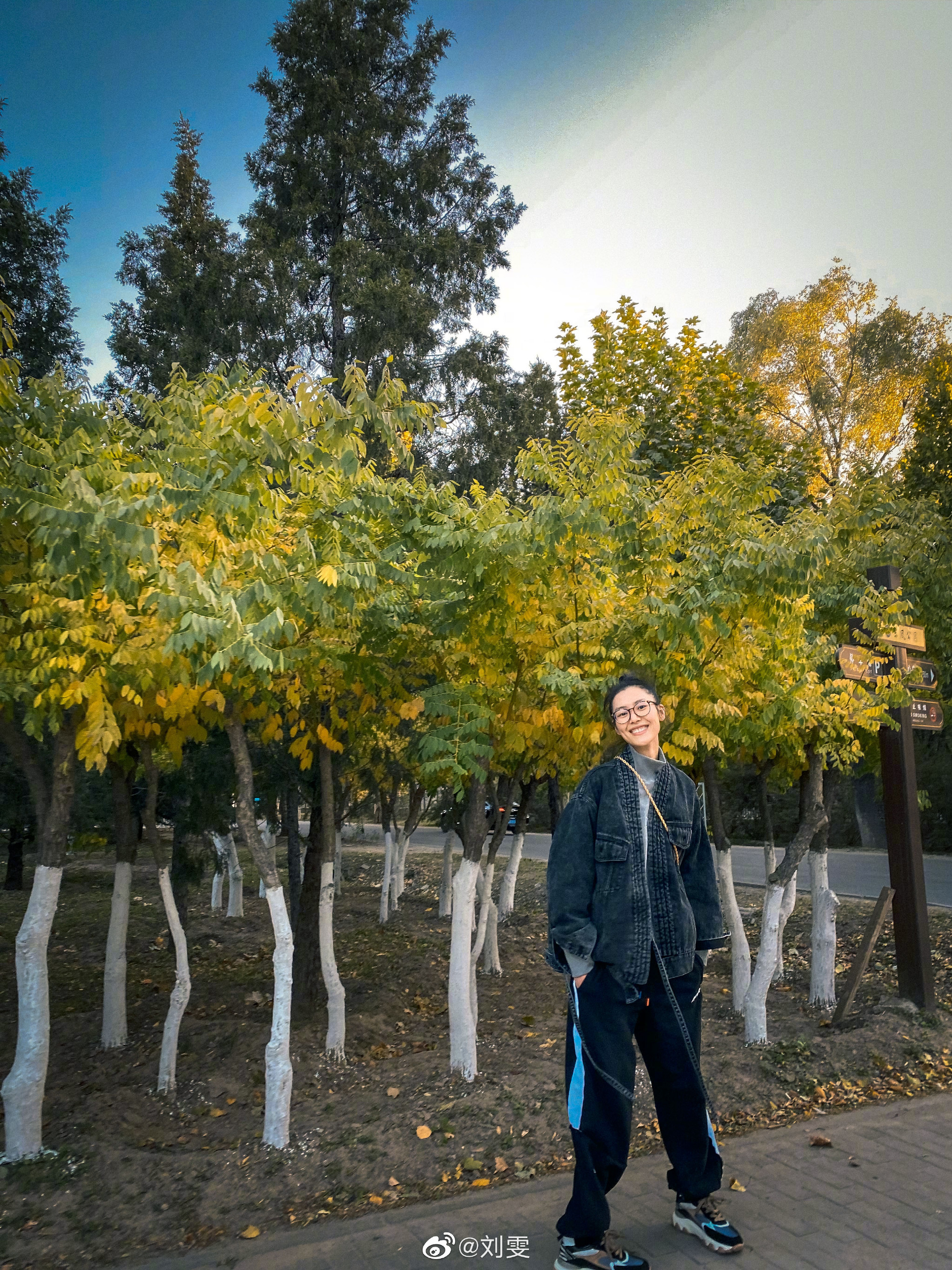 刘雯现在太过瘦了怎么回事,32岁刘雯真实照片