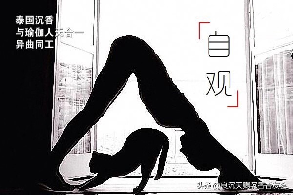 泰国沉香静心凝神,沉香对瑜伽有用吗