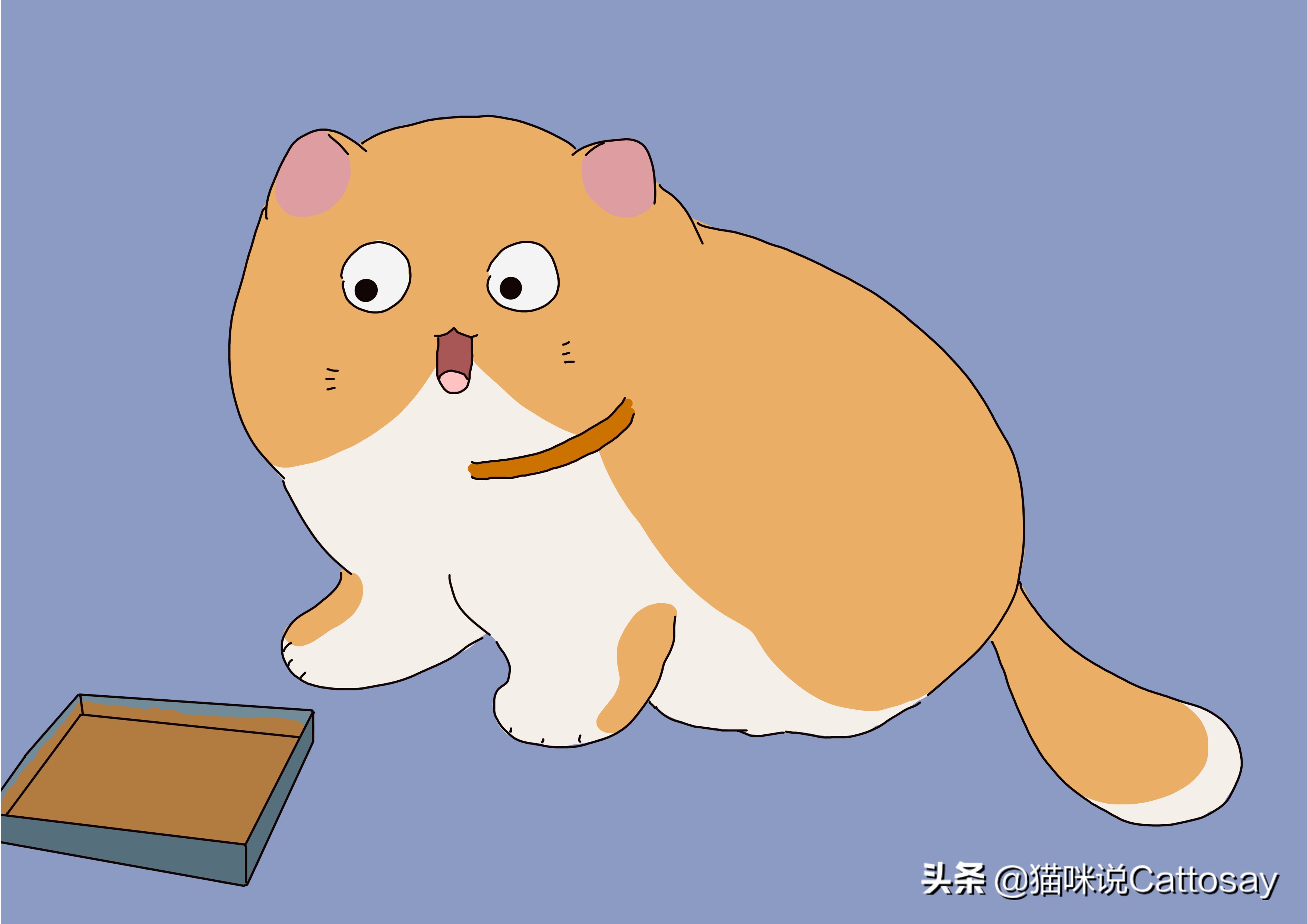 喂猫三种错误方式,三种喂养方式