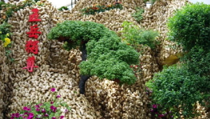 到山东不会饿着你,到山东怎么能不吃煎饼和大馒头呢