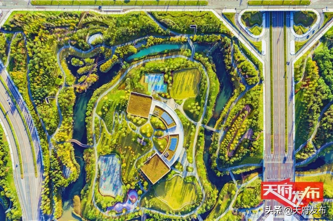 天府新区一号工程,成都天府新区2024年竣工项目